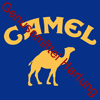 Tabak Camel