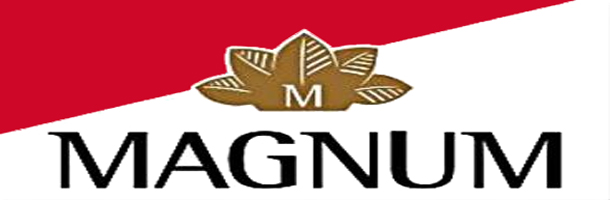 Zigaretten Magnum bestellen online